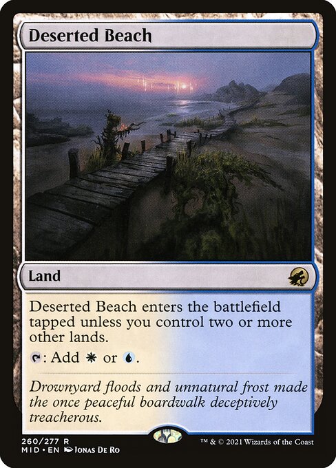 Deserted Beach (#260)