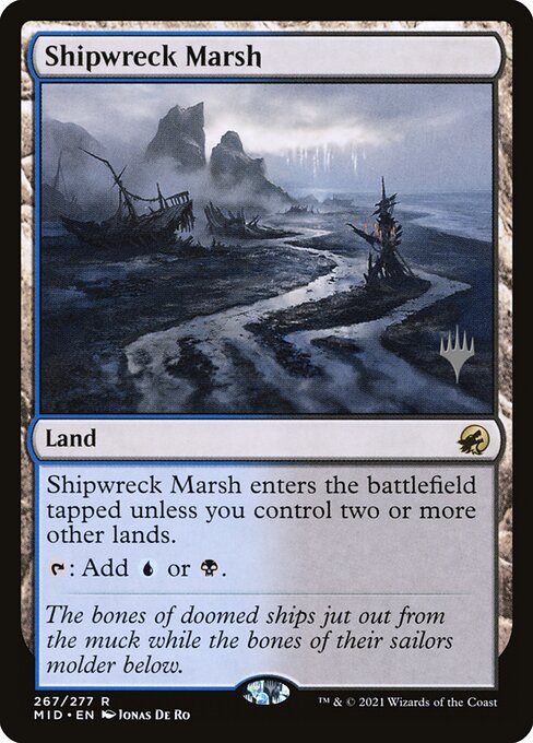 Shipwreck Marsh (#267p)